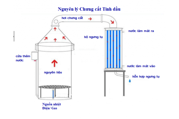 Tự làm nước hoa từ tinh dầu bằng nồi chưng cất tinh dầu mini