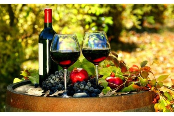 5 thủ tục cần thực hiện để sản xuất rượu vang