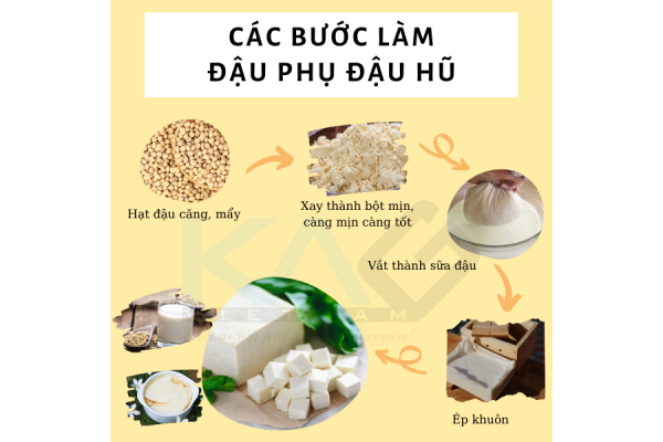 Quy trình sản xuất đậu hũ, đậu phụ và sữa đậu nành sạch đảm bảo chất lượng